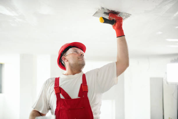Best Crawl Space Mold Remediation  in Oak Harbor, OH