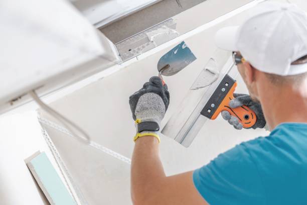 Best Mold Odor Removal Services  in Oak Harbor, OH